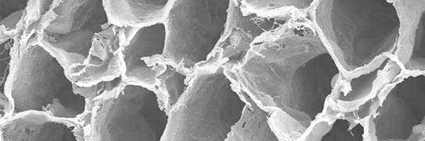 A microscopic image showing the micro-architecture of a native nerve