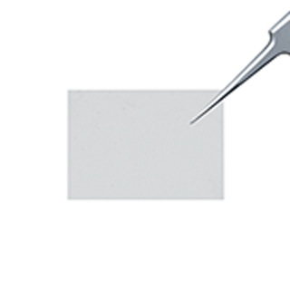 Axoguard Nerve Protector®