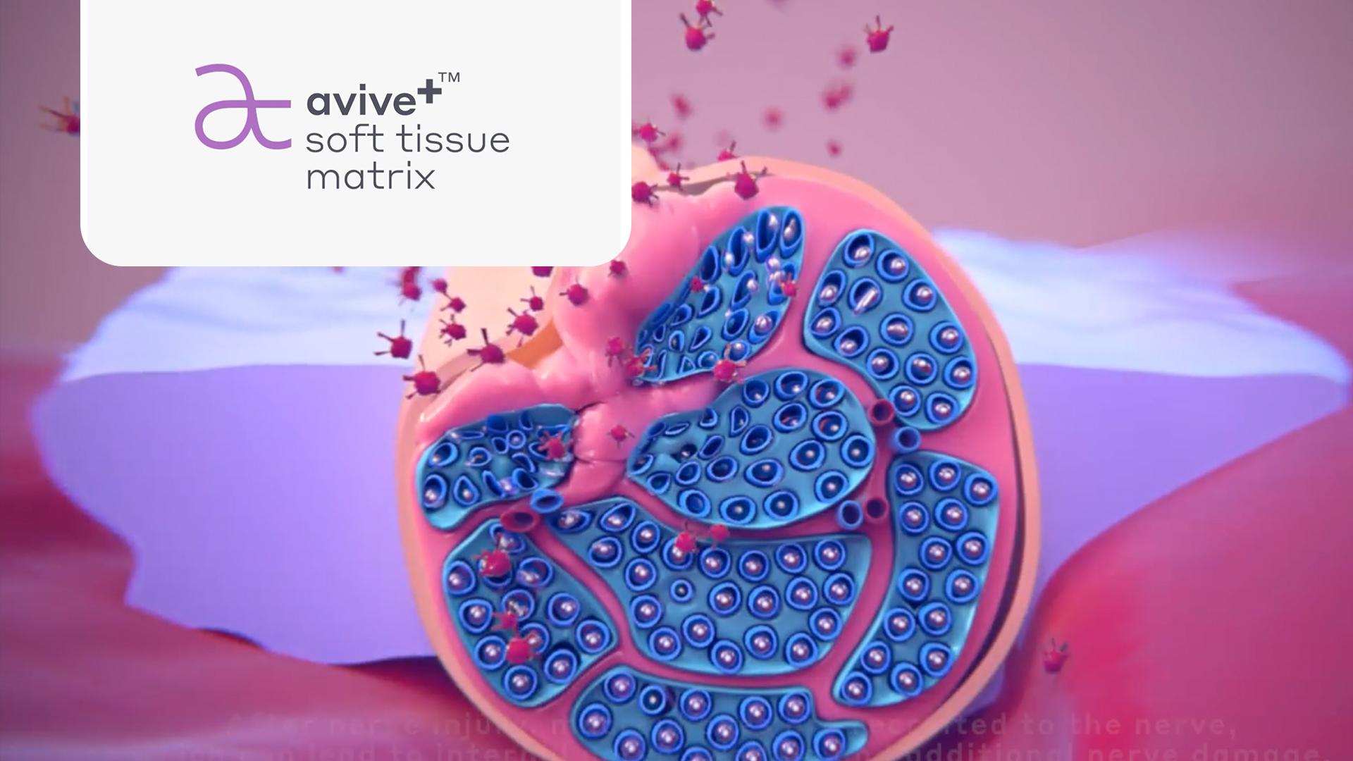 Screen shot from video, “Avive+ Soft Tissue Matrix Handling.”